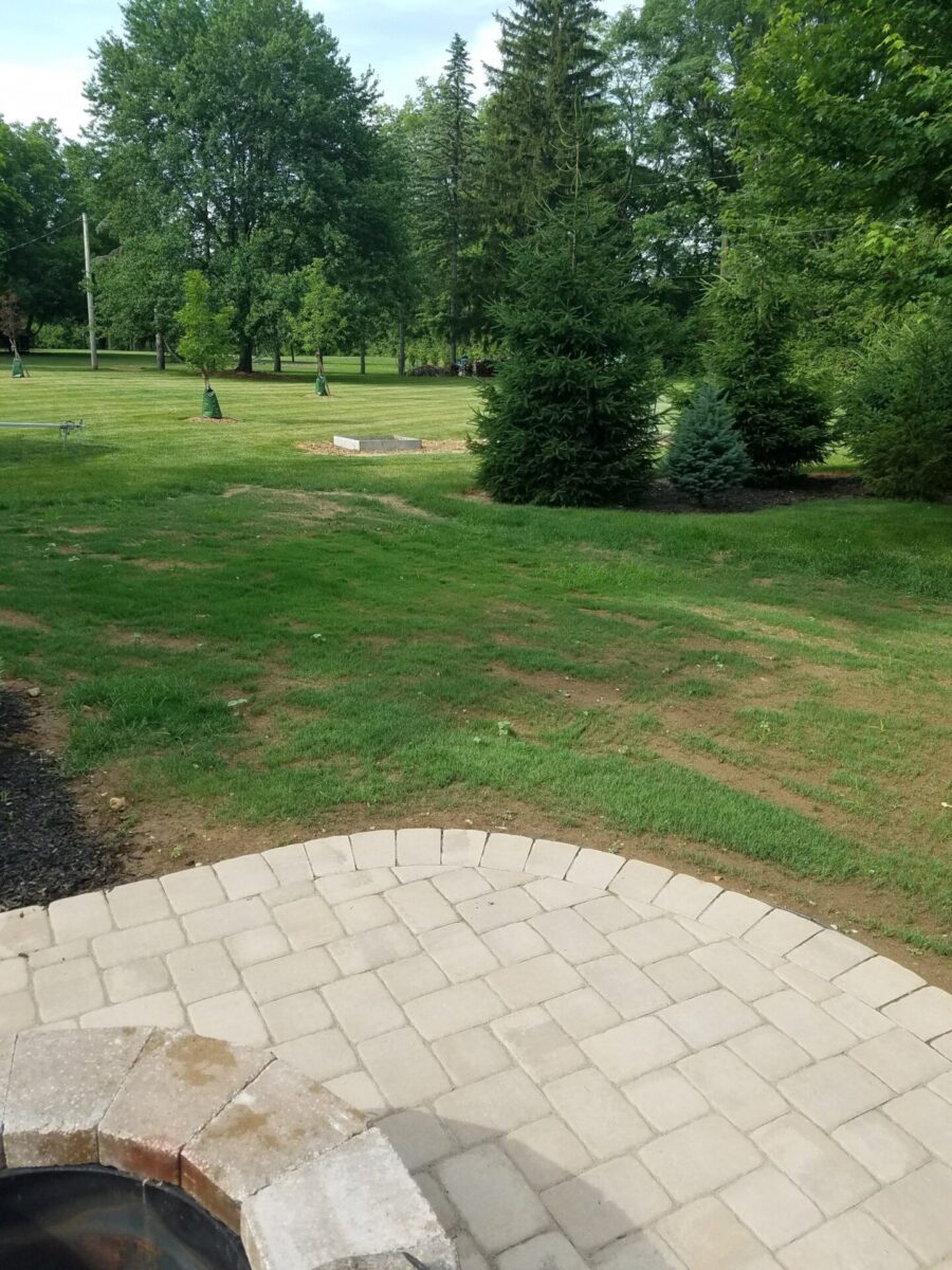 Read more about the article Seeding Lawn in the Fall