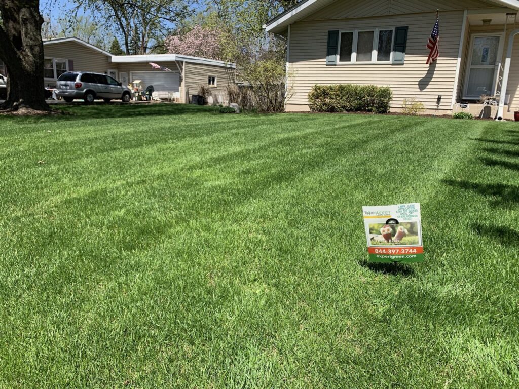 Lawn fertilization services