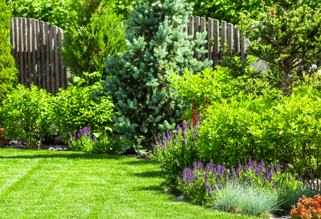 Tree and shrub care