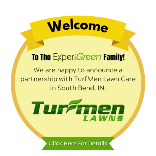 We welcome Turfmen Lawns to the Experigreen family.