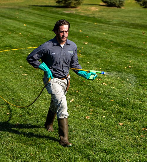 Lawn technician spraying lawn