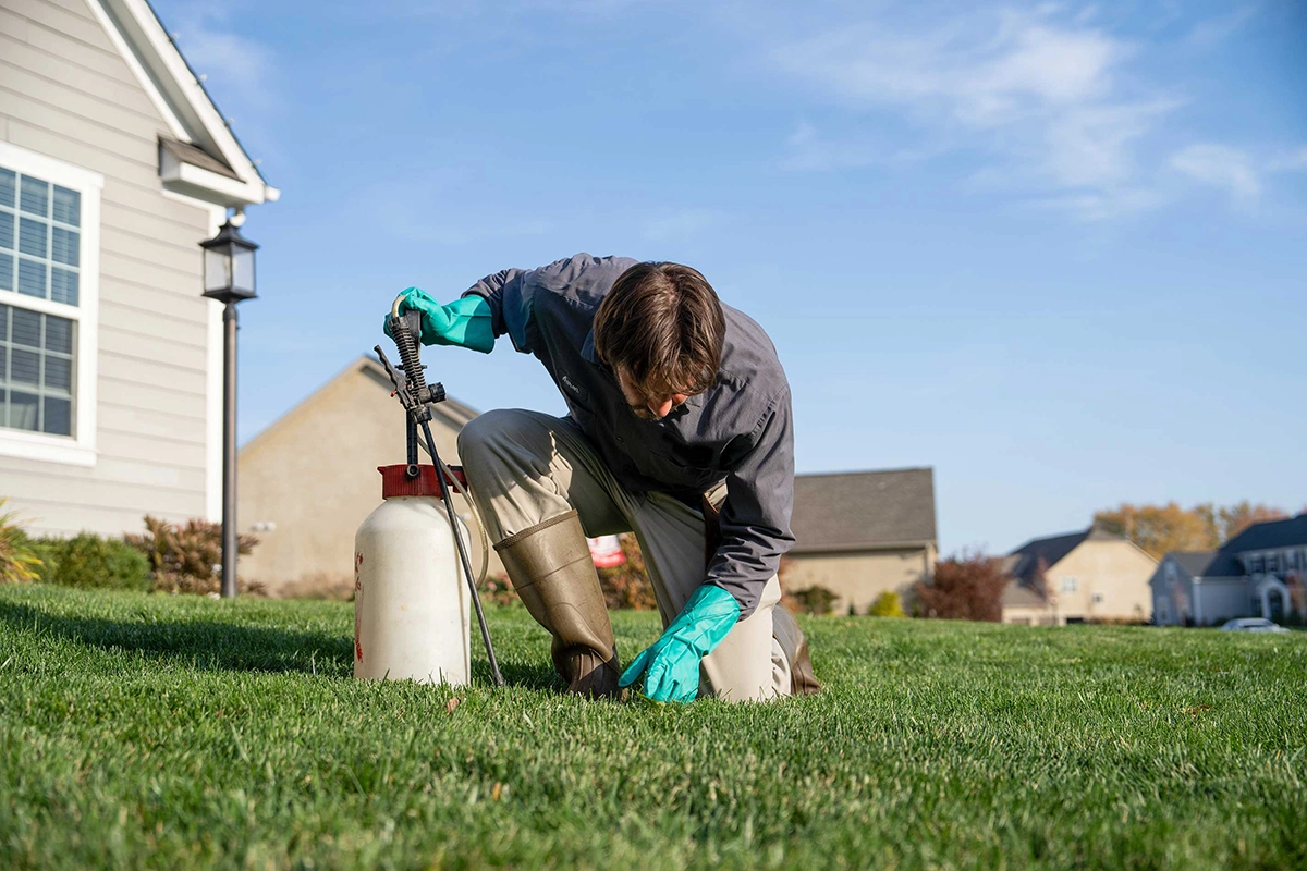 Read more about the article What You Need to Know About Summer Pests