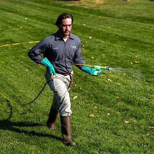 Lawn technician spraying lawn