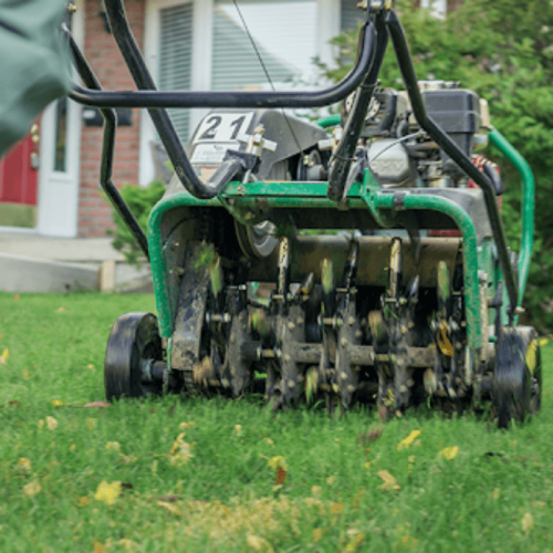 Lawn Aeration Lawn Aeration